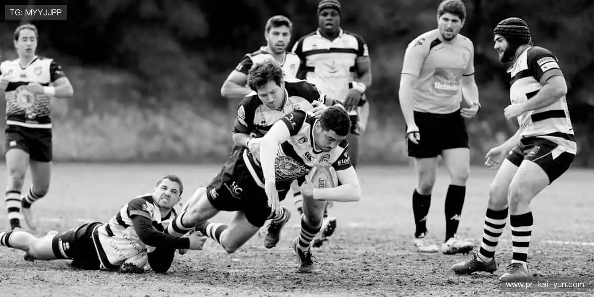 🎮 一键开启,畅享沉浸式体验!🌟